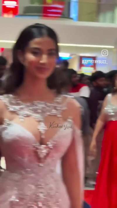Meenakshi Chaudhary