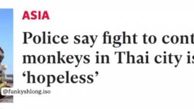 Monk&egrave; always win
