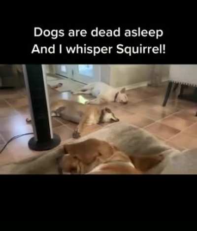 Time to wake up!