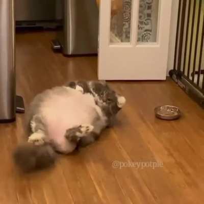 The last thing i can do in the day