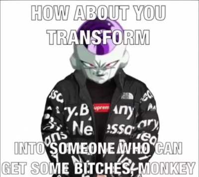 Speaking of bitches 