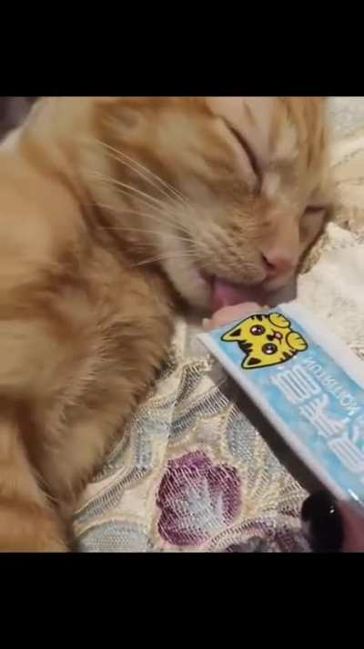 He was out cold with his tongue out&hellip; couldn&rsquo;t resist the tuna test.
