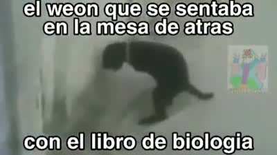 Esta en la p&aacute;gina 53