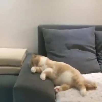 He crashed his bike..