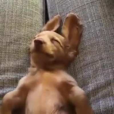 Немного милоты