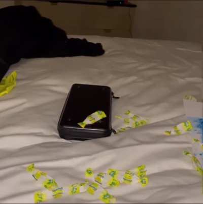 deadmau5 likes ricola