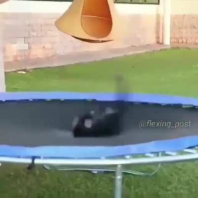 Monki flip