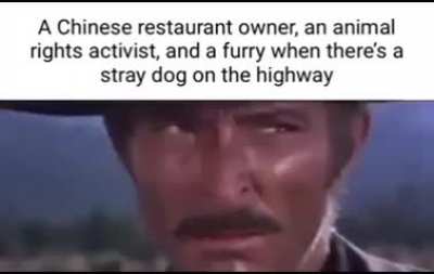 "Furries are not zoophiles"
