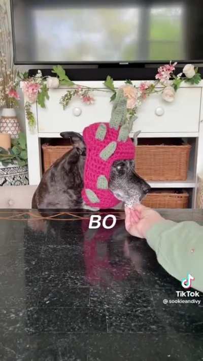 perfectly cut barks