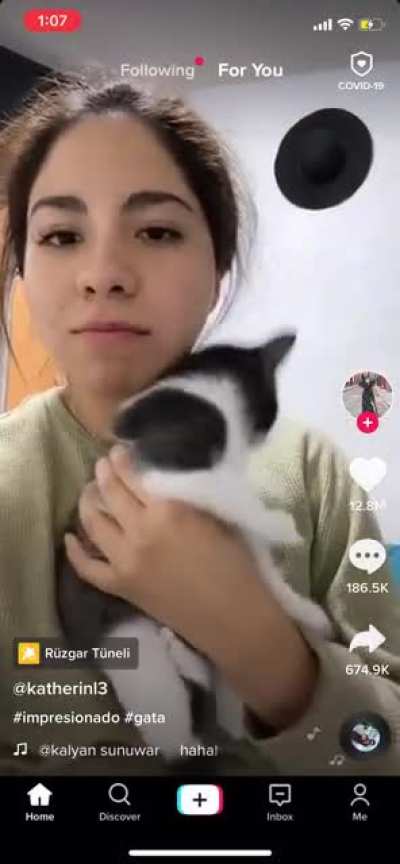 Dying at the cat&rsquo;s reaction