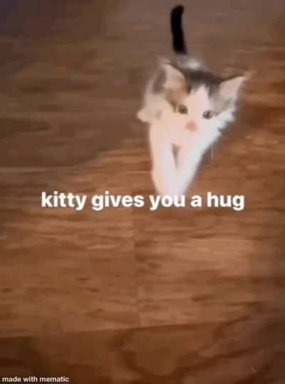 You deserve it 😸