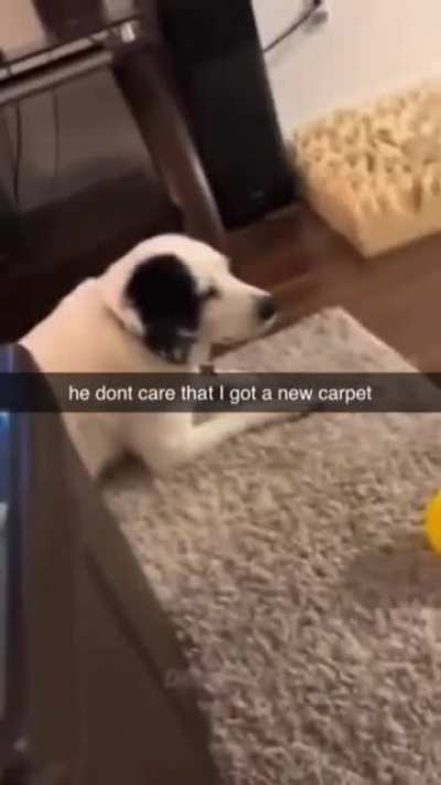 he just doesn't care