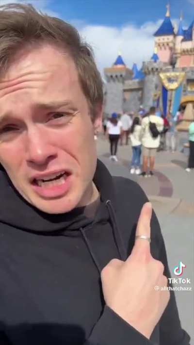 Disney adults