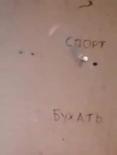 Top is "sport", bottom is "drink alcohol"