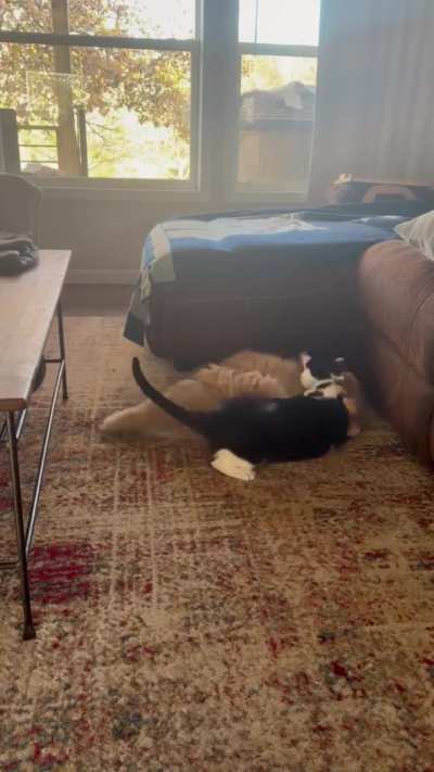 It&rsquo;s these two again