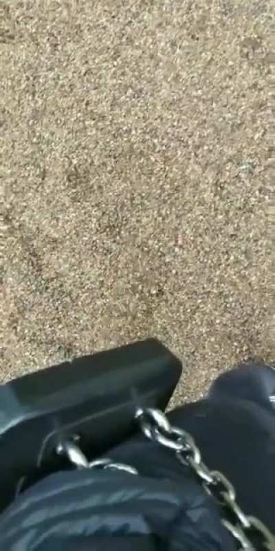 Red squirrel vs a girl