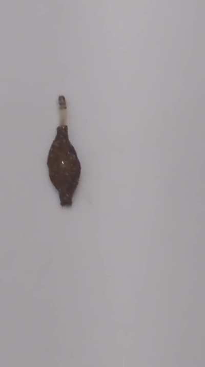 What is this bug? Is it even a bug?