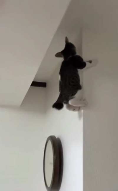 Do not no why, but up I go