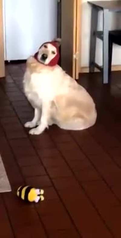 Here's Chica to cheer up your day or night (◍&bull;ᴗ&bull;◍)