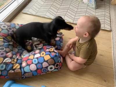 &ldquo;Toby say dog! Can you say dog?&rdquo; ... says nothing, runs to his brother for an immunity building giggle sesh