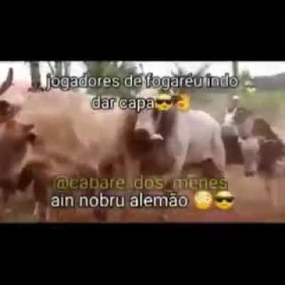Foda-se?