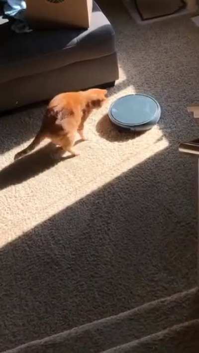 Apparently Archer couldn&rsquo;t hear the roomba sneaking up on him