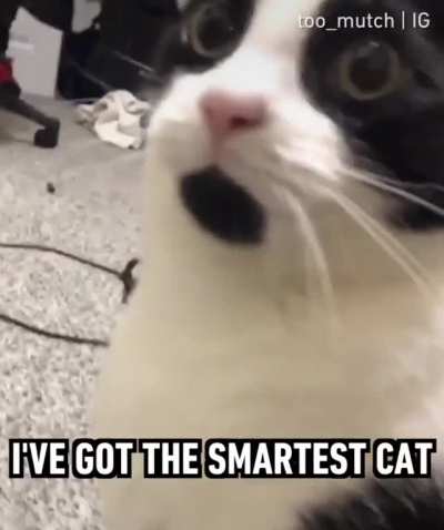 AHHHHHHHH ????