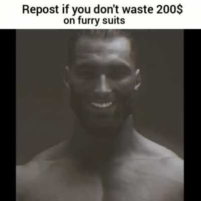 No furry