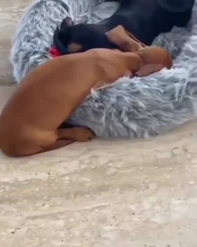 How cute are these two?😍🥰😘&hearts;️&hearts;️&hearts;️