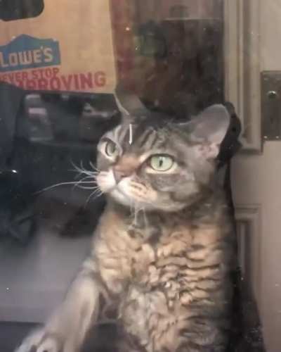 Grumpybarbara slaps some glass