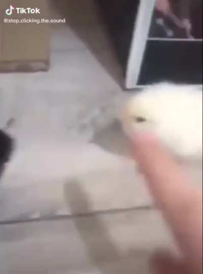 What&rsquo;s up bro