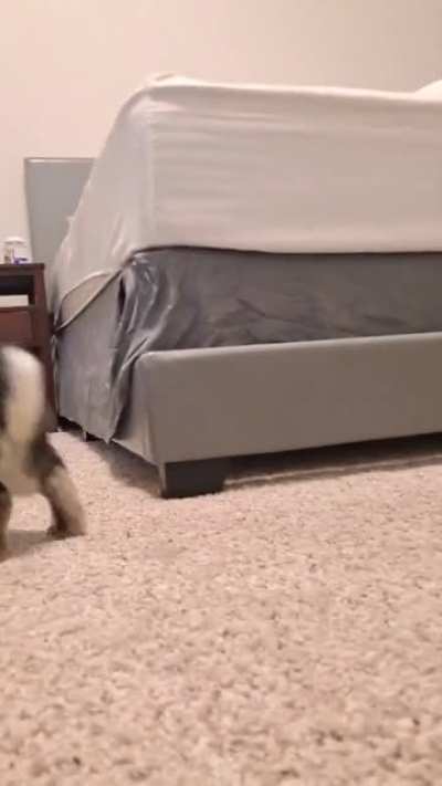 Slowmo, unison binkies
