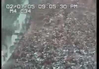 "fluid" dynamics of an overcrowded venue. Essentially how crowd crushing happens.