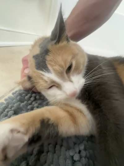 Ms. Muffin back with another scratchy ear