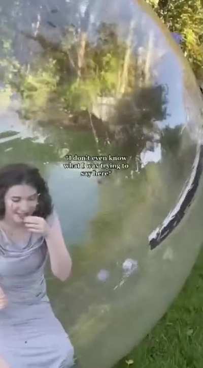 Reasons Why You Shouldn't Give Me And My Family A Giant Hamster Ball