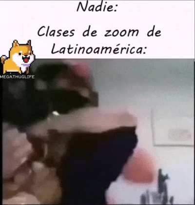 T&iacute;pico.