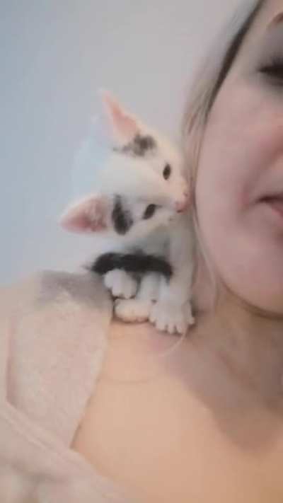 Copycat
