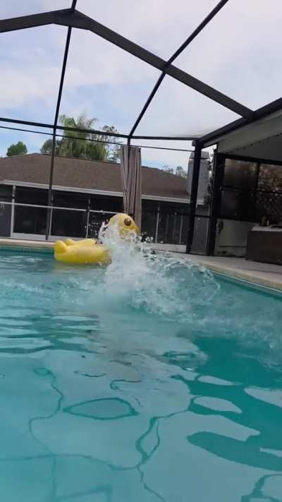 Carmin enjoying her pool (2/2)
