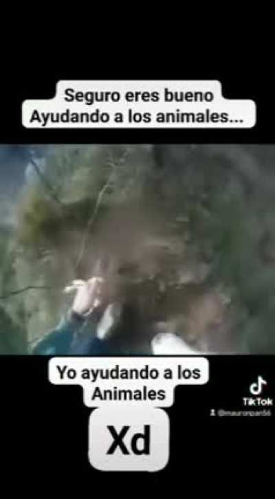 si me pasa