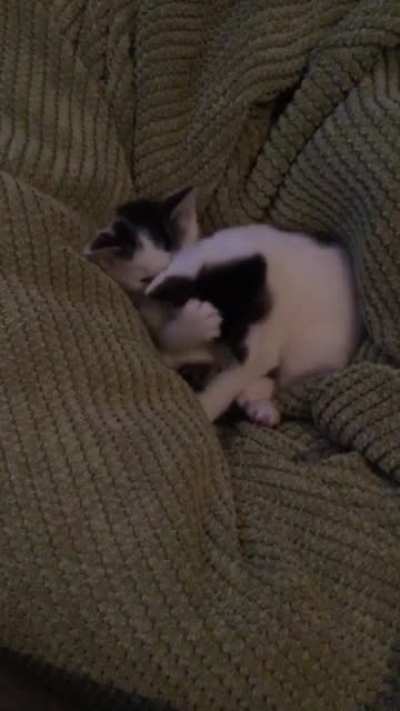 they&rsquo;re inseparable