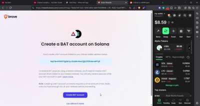 Why I can't connect trust wallet to brave rewards