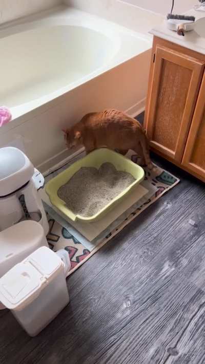 Execute litterburry.exe&hellip; litterburry failed. Execute litterburry.exe&hellip; litterburry failed. Execute litterburry.exe&hellip; litterburry failed. Please debug litterbury.