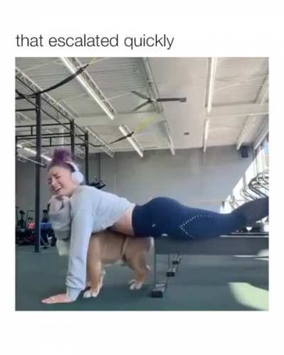 🐶:不守妇<wbr>道的东西