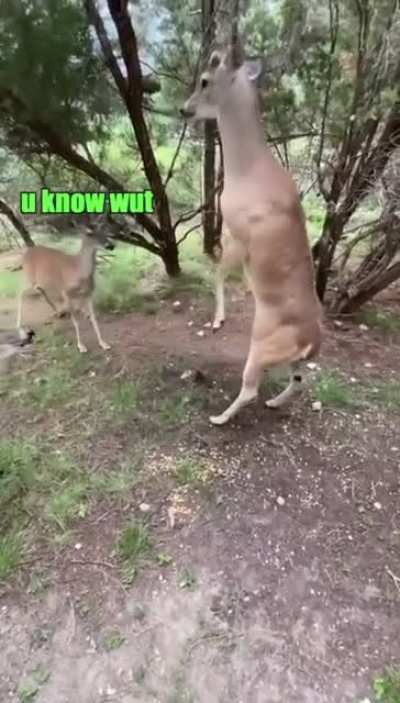 BACK OFF