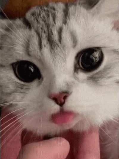 👅