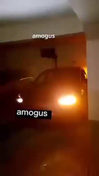 amogus tesla