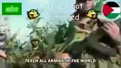 👏🏻