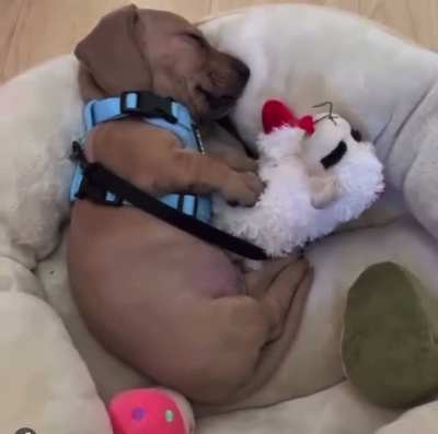 When you&rsquo;re having a good dream and Lamb Chop is there too.