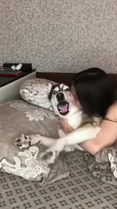 Transition from "Why you kiss me?" to "Why don't you kiss me?"