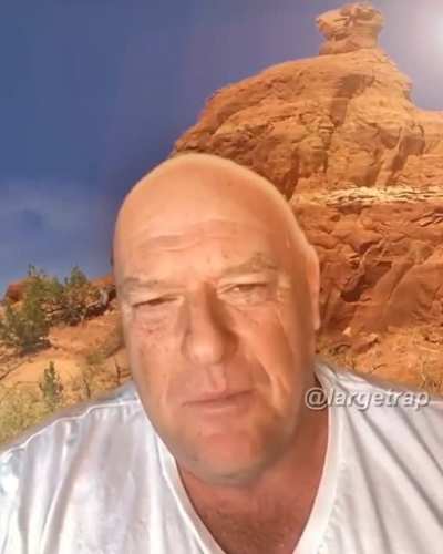 Sus